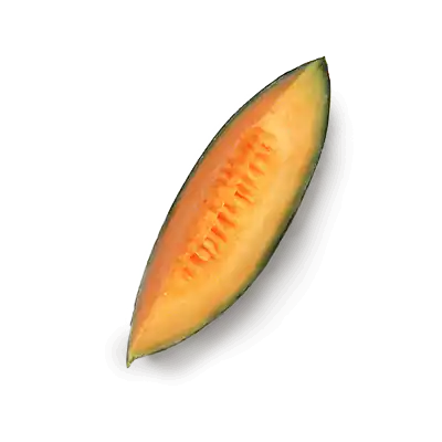 free-melon1