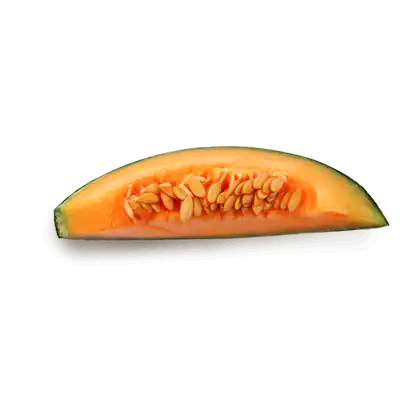free-melon2