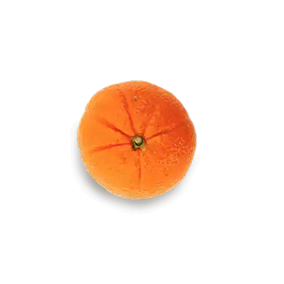 free-orange