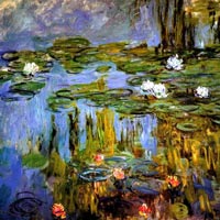 monet-seerosen