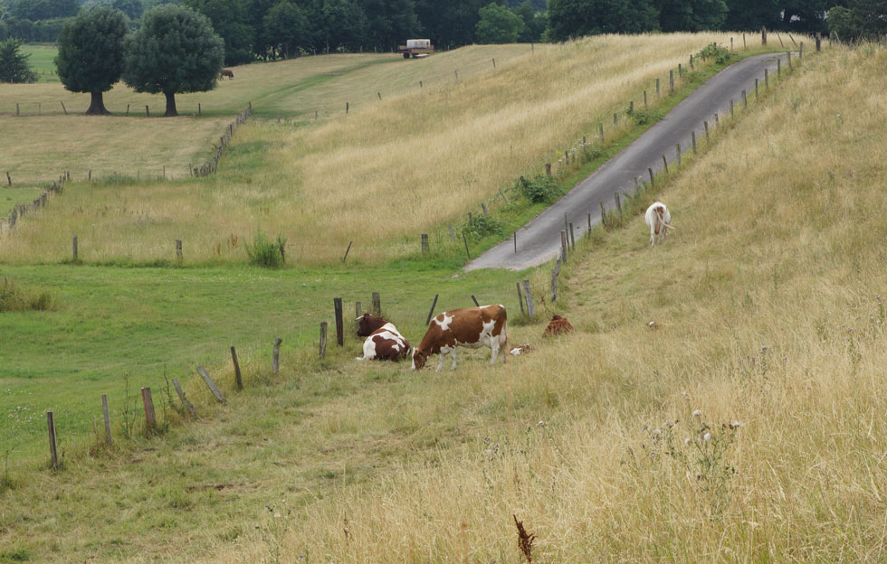 niederrhein