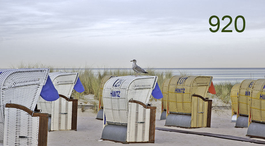 Hinz sein Strandkorb