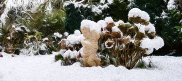 snow-1-large